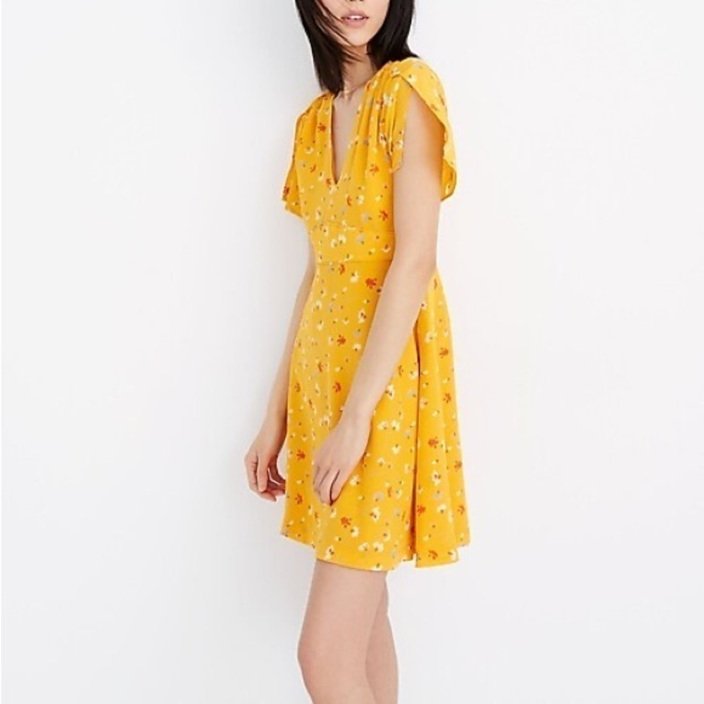 Madewell Silk Belladonna Dress in Painted Carnations 0